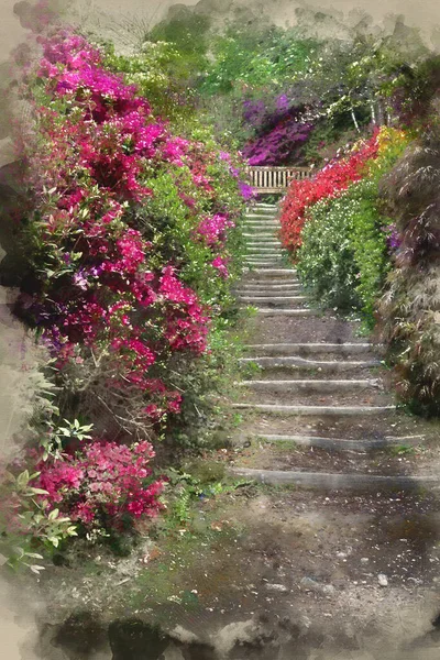 Digital Watercolour Painting Beautiful Landscape Image Footpath Border Azalea Flowers — 스톡 사진