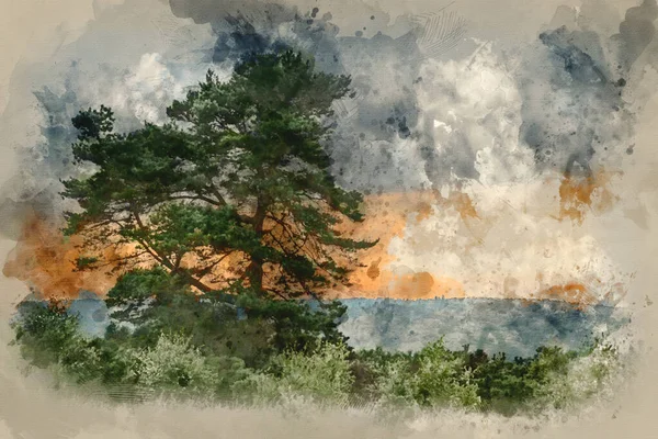 Digital Watercolour Painting Beautiful Summer Sunset Landscape Image Solo Tree — Zdjęcie stockowe