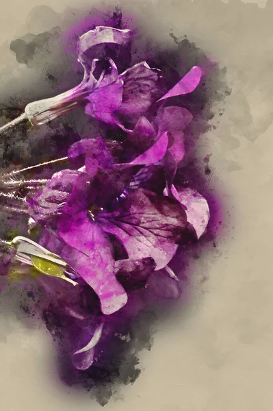 Цифровий Акварельний Живопис Приголомшливе Зображення Низького Ключа Квітки Срібного Долара — стокове фото