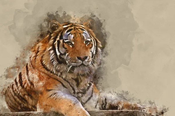 Digital Watercolour Painting Beautiful Tiger Relaxing Warm Day — Stockfoto