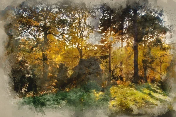 Ormandaki Ağaçların Arasından Yükselen Güneşin Güzel Sonbahar Manzarasının Dijital Suluboya — Stok fotoğraf