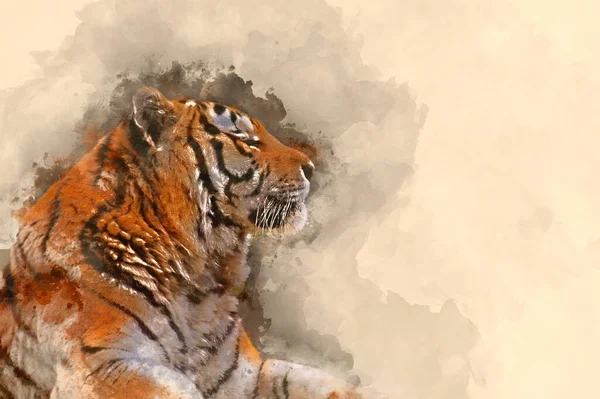 Digital Watercolor Painting Beautiful Tiger Relaxing Warm Day — Stock Photo, Image