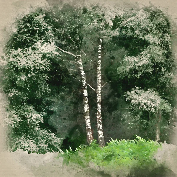 Digital Watercolor Painting Lovely Landscape Image Single Silver Birch Tree — ストック写真