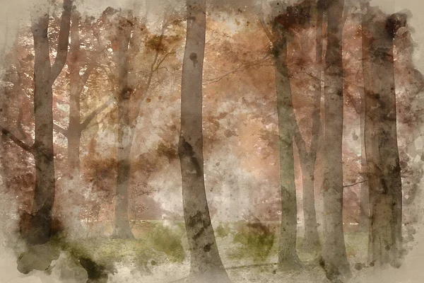 見事な鮮やかな秋の魅力的な秋の霧の森の風景のデジタル水彩画 — ストック写真