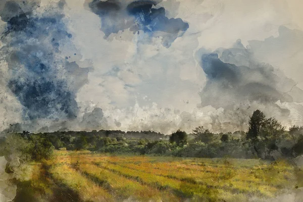 ภาพวาดส ตอลของฤด อนท สวยงามพระอาท ตกภ ภาพของป Ashdown ในชนบทอ งกฤษท — ภาพถ่ายสต็อก