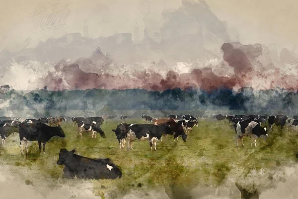Ψηφιακή Ακουαρέλα Ζωγραφική Των Αγελάδων Στον Τομέα Κατά Διάρκεια Ομιχλώδη — Φωτογραφία Αρχείου