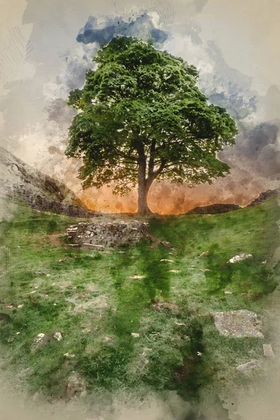 Pintura Digital Acuarela Impresionante Imagen Paisajística Sycamore Gap Hadrian Wall — Foto de Stock