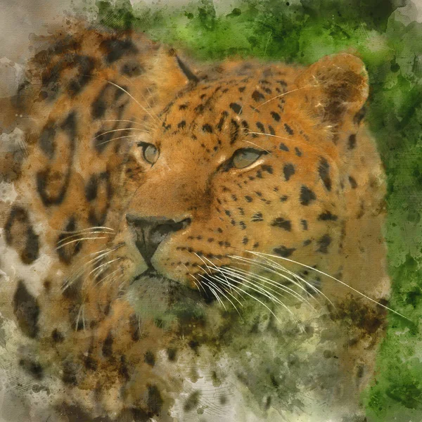 Pintura Aquarela Digital Impressionante Close Retrato Jaguar Panthera Onca Paisagem — Fotografia de Stock