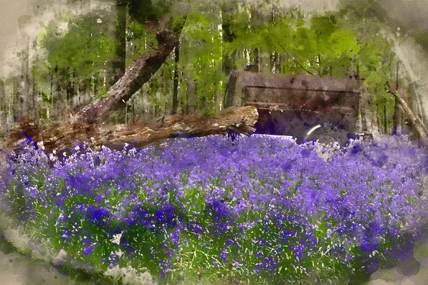 Digital Watercolor Painting Old Farm Machinery Bluebell Flowers Spring Forest — Photo