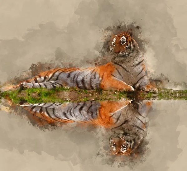 Digital Watercolor Painting Beautiful Image Tiger Relaxing Grassy Bank Reflection — Stok fotoğraf
