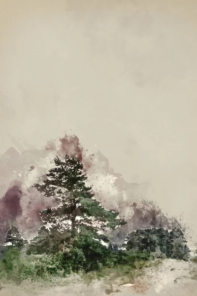 Digital Watercolor Painting Beautiful Summer Sunset Landscape Image Ashdown Forest — Photo