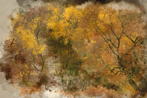 Aquarelle Numérique Superbe Forêt Colorée Vibrante Forêt Automne Paysage Automne — Photo