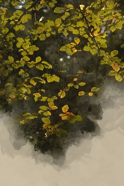 英国のニューフォレスト州で見事な鮮やかな秋の紅葉のデジタル水彩画 — ストック写真