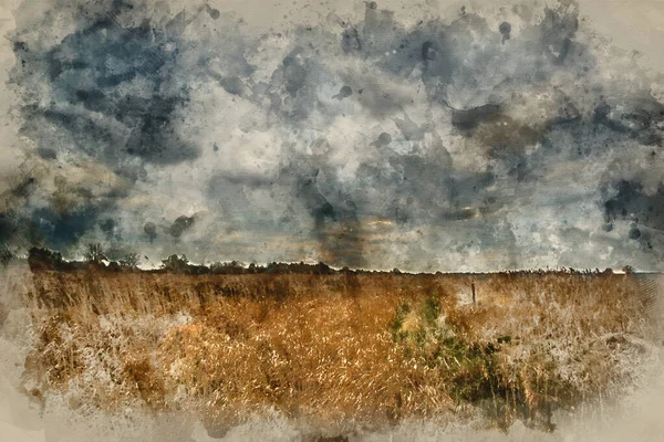 Digital Watercolor Painting Dark Dramatic Landscape Stormy Sky Wetlands — Stock Photo, Image