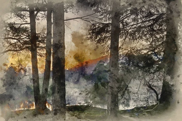 Aquarelle Numérique Superbe Image Paysage Tarn Hows Dans Lake District — Photo