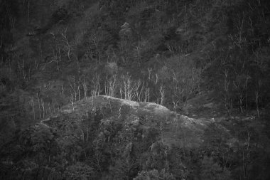 Black and white Stunning Autumn landscape image towards Borrowdale Valley from Castle Crag in Lake Disrtrict