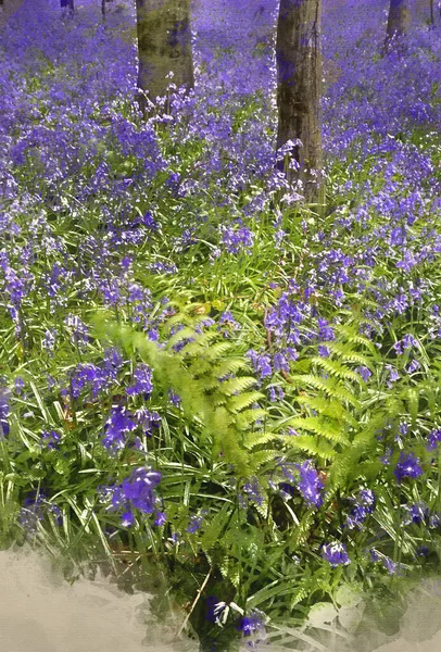 Digital watercolor painting of Beautiful carpet of bluebell flowers in Spring forest landscape