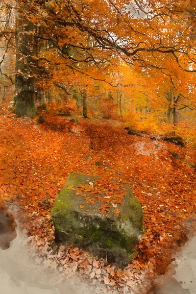 Digital Watercolor Painting Stunning Colorful Vibrant Forest Woodland Autumn Fall — Stock Photo, Image