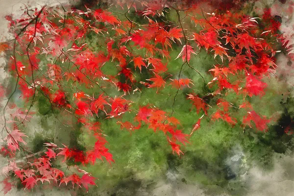 Digitális Akvarell Festmény Lenyűgöző Színes Élénk Piros Sárga Japán Juharfák — Stock Fotó