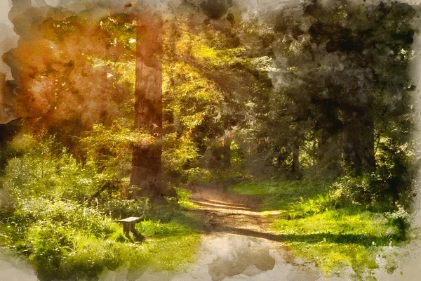 Aquarelle Numérique Belle Srping Soleil Brise Travers Les Arbres Dans — Photo