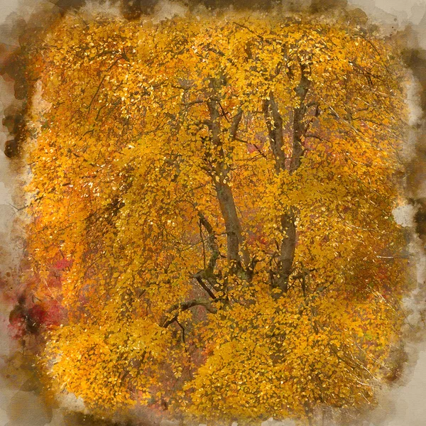 英国农村五彩缤纷的秋天森林景观细节数码水彩画 — 图库照片