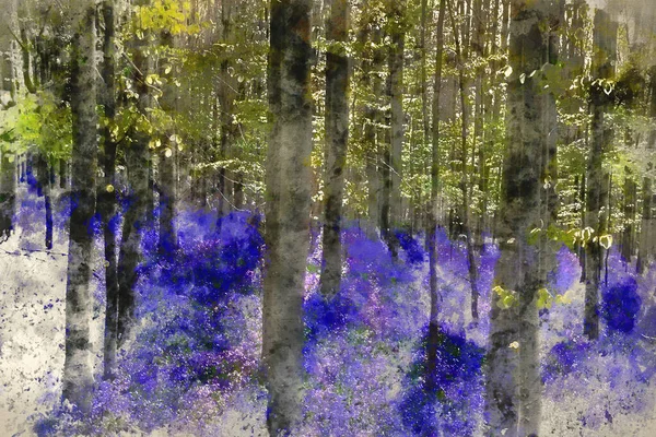 Pintura Aquarela Digital Bela Manhã Floresta Bluebell Primavera — Fotografia de Stock