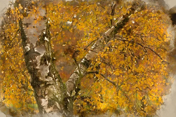 Digitální Akvarel Malba Ohromující Barevné Pulzující Lesní Zalesněné Podzim Podzimní — Stock fotografie
