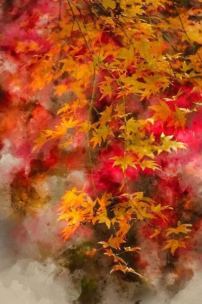 Pintura Aquarela Digital Deslumbrante Colorido Vibrante Vermelho Amarelo Japonês Árvores — Fotografia de Stock