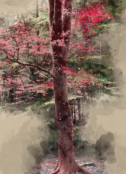 Pintura Aquarela Digital Árvores Outono Vermelho Falso Impressionante Cor Queda — Fotografia de Stock