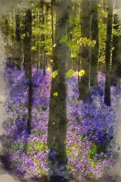 春天蓝铃林美丽清晨的数码水彩画 — 图库照片