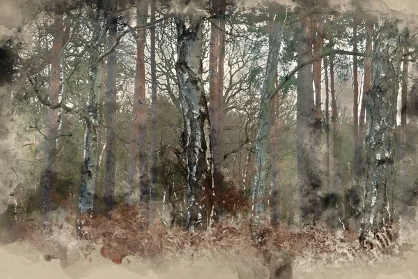 Aquarelle Numérique Belle Automne Automne Hiver Forêt Paysage Scène — Photo