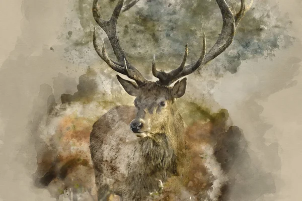 Digital Watercolor Painting Stunning Red Deer Stag Cervus Elaphus Majestic — Stock Photo, Image