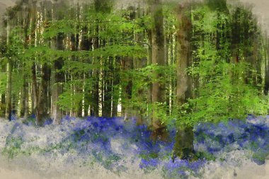 Bahar aylarında sabah güneşinde BlueBell Ormanı manzarasının dijital suluboya resmi.
