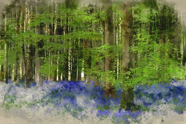 Digitális Akvarell Festmény Gyönyörű Bluebell Erdő Táj Kép Reggeli Napfény — Stock Fotó