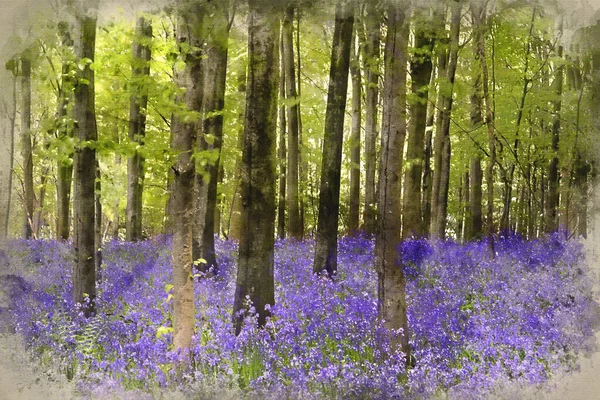 Digital watercolor painting of Beautiful carpet of bluebell flowers in Spring forest landscape