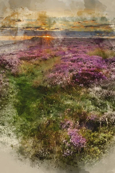 Digitale Aquarel Schilderij Van Prachtige Zonsopgang Landschap Beeld Van Heide — Stockfoto