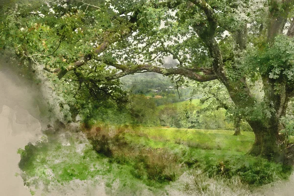 Aquarelle Numérique Belle Image Paysage Vue Precipice Walk Snowdonia — Photo