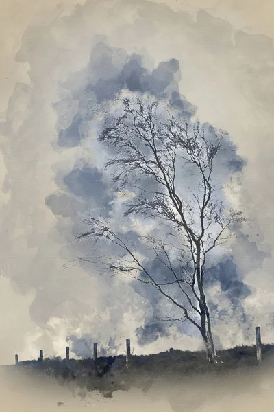 아름다운 풍경을 디지털 페인팅 디스트릭트에 나무의 — 스톡 사진