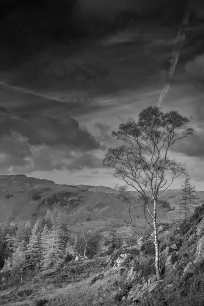 Zwart Wit Episch Landschapsbeeld Van Prachtig Herfstzonlicht Langdale Pikes Kijkend — Stockfoto