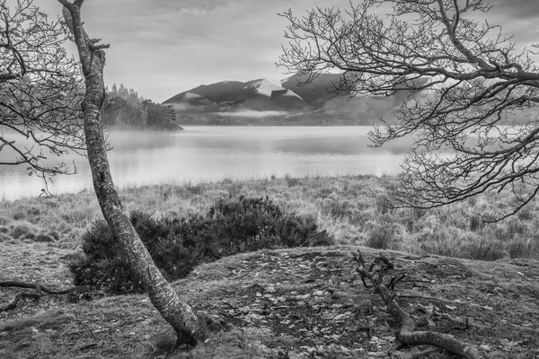 Czarno Biały Epicki Jesienny Obraz Krajobrazu Manesty Park Jeziorze Distict — Zdjęcie stockowe