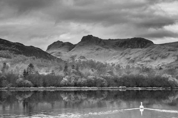 Czarno Biały Epicki Jesienny Krajobraz Rzeki Brathay Lake District Patrząc — Zdjęcie stockowe