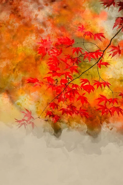 Aquarelle Numérique Superbes Arbres Érable Japonais Colorés Rouges Jaunes Vibrants — Photo