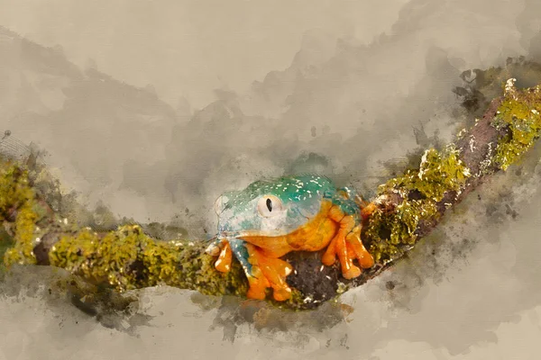 Digital Watercolor Painting Fringed Leaf Tree Frog Cruziohyla Craspedopus — 스톡 사진