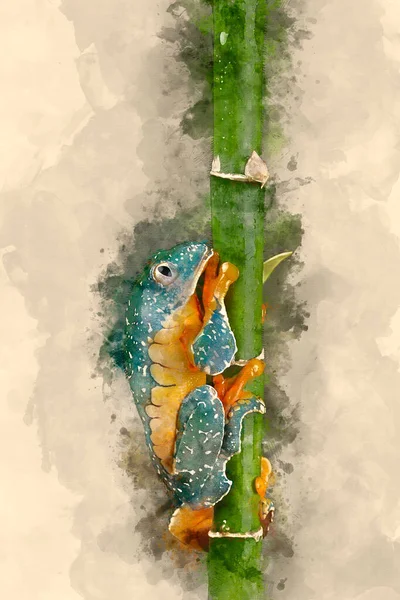 Pintura Aquarela Digital Fringed Leaf Tree Frog Cruziohyla Craspedopus Com — Fotografia de Stock
