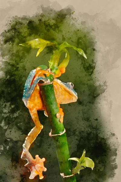 Digital Watercolor Painting Fringed Leaf Tree Frog Cruziohyla Craspedopus Blurred — Stock Photo, Image