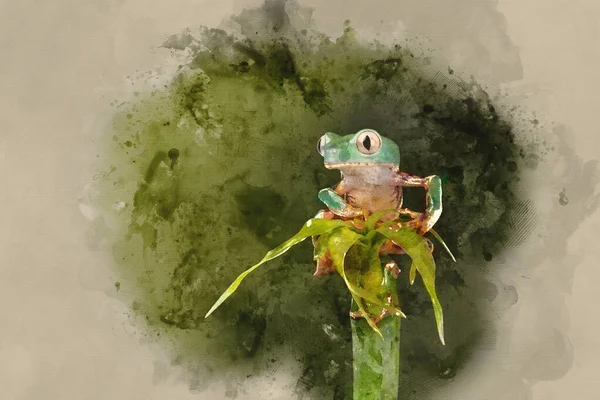 Digital Watercolor Painting Fringed Leaf Tree Frog Cruziohyla Craspedopus Blurred — Stock Photo, Image