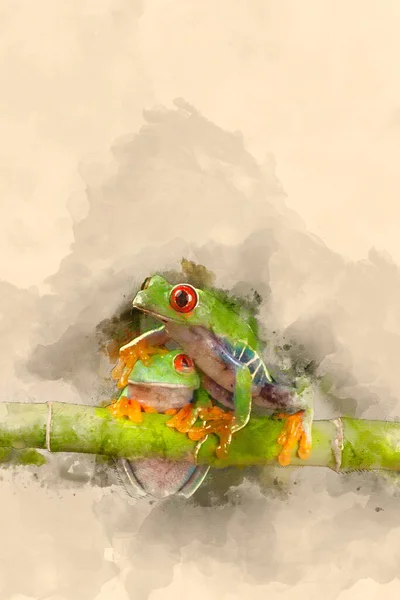 Digital Watercolor Painting Red Eyed Tree Boophis Luteus Frog Blurred — Stock Photo, Image