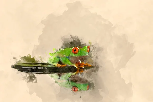 略带模糊绿色背景的红眼树蛙的数字式水彩画 — 图库照片