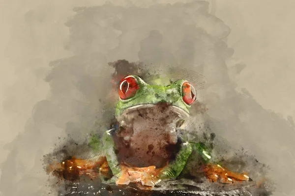 Digitale Aquarellmalerei Von Rotäugigen Baum Boophis Luteus Frosch Mit Verschwommenem — Stockfoto