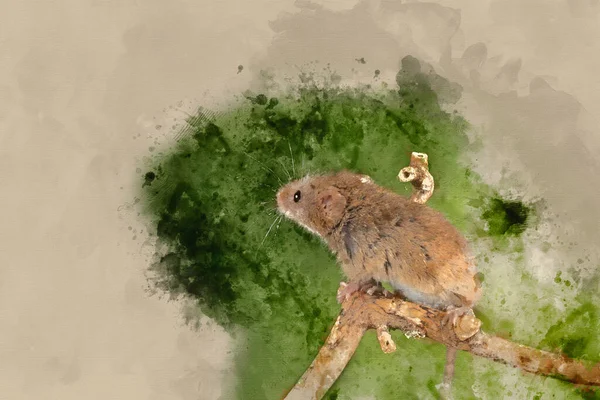 Ψηφιακή Ακουαρέλα Ζωγραφική Της Χαριτωμένης Συγκομιδής Ποντίκια Micromys Minutus Ξύλινο — Φωτογραφία Αρχείου